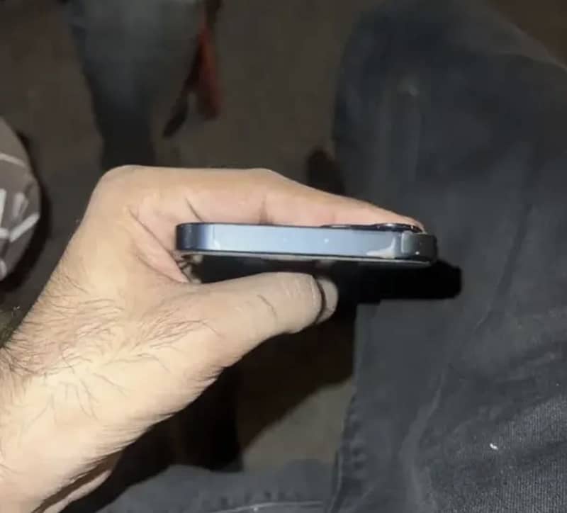 Apple iPhone 13 0