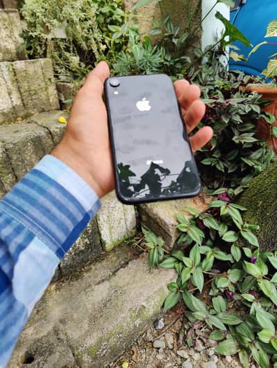 Apple iPhone XR non pta 64 gb e sim working