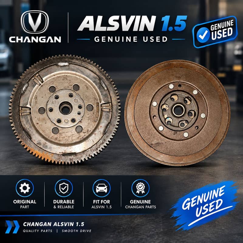 Alsvin fly wheel 3