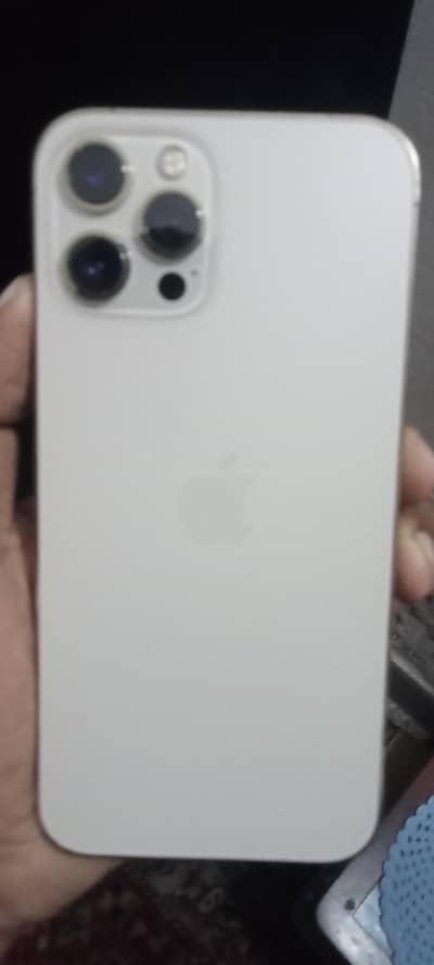 Apple iPhone 12 Pro Max
