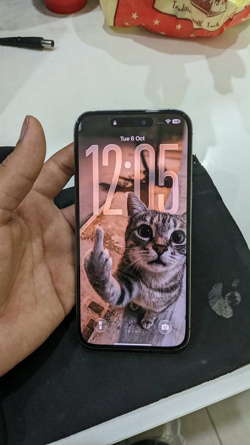 Apple iPhone 14 Pro Max 1