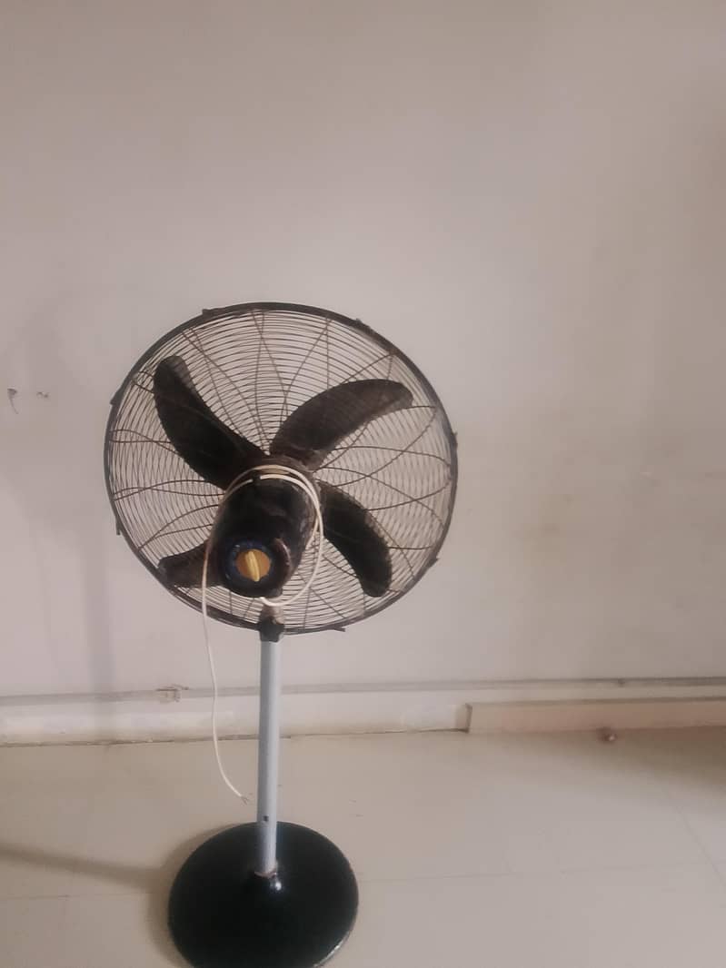 GFC fan 1