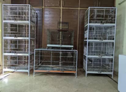 love bird's cages