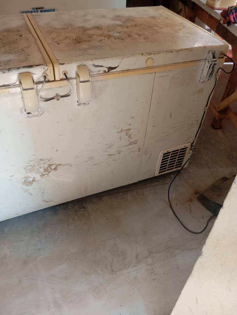 freezer 1