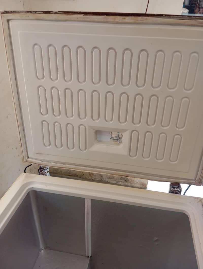 freezer 6