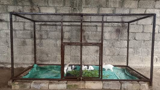 for sale 03275563042