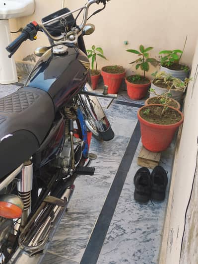 Honda 125 2017