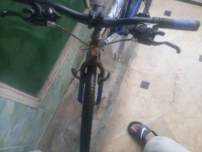 Shimano bicycle for sale in used