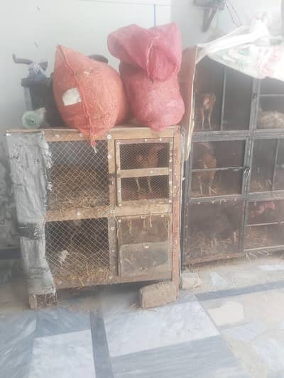 wood  cage for sale