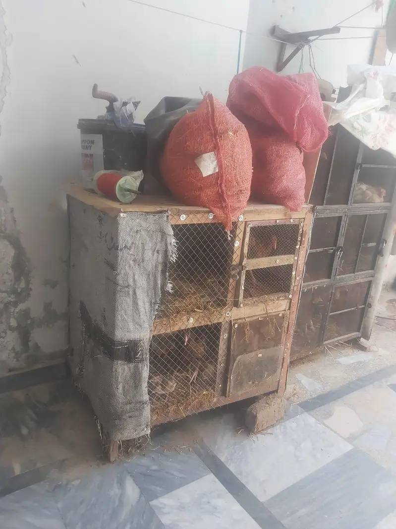 wood  cage for sale — photo 2