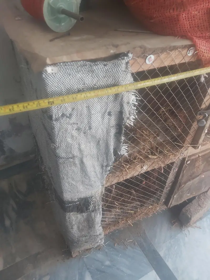 wood  cage for sale — photo 3