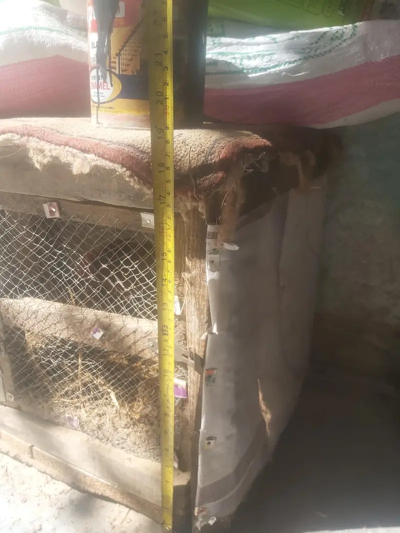 wood  cage for sale — photo 6
