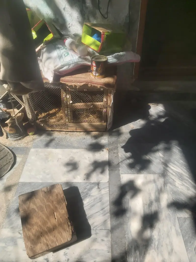 wood  cage for sale — photo 7