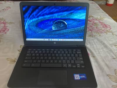 HP | Chromebook 14 G6 | 4GB RAM | | 32GB Storage | 14" Display | Play