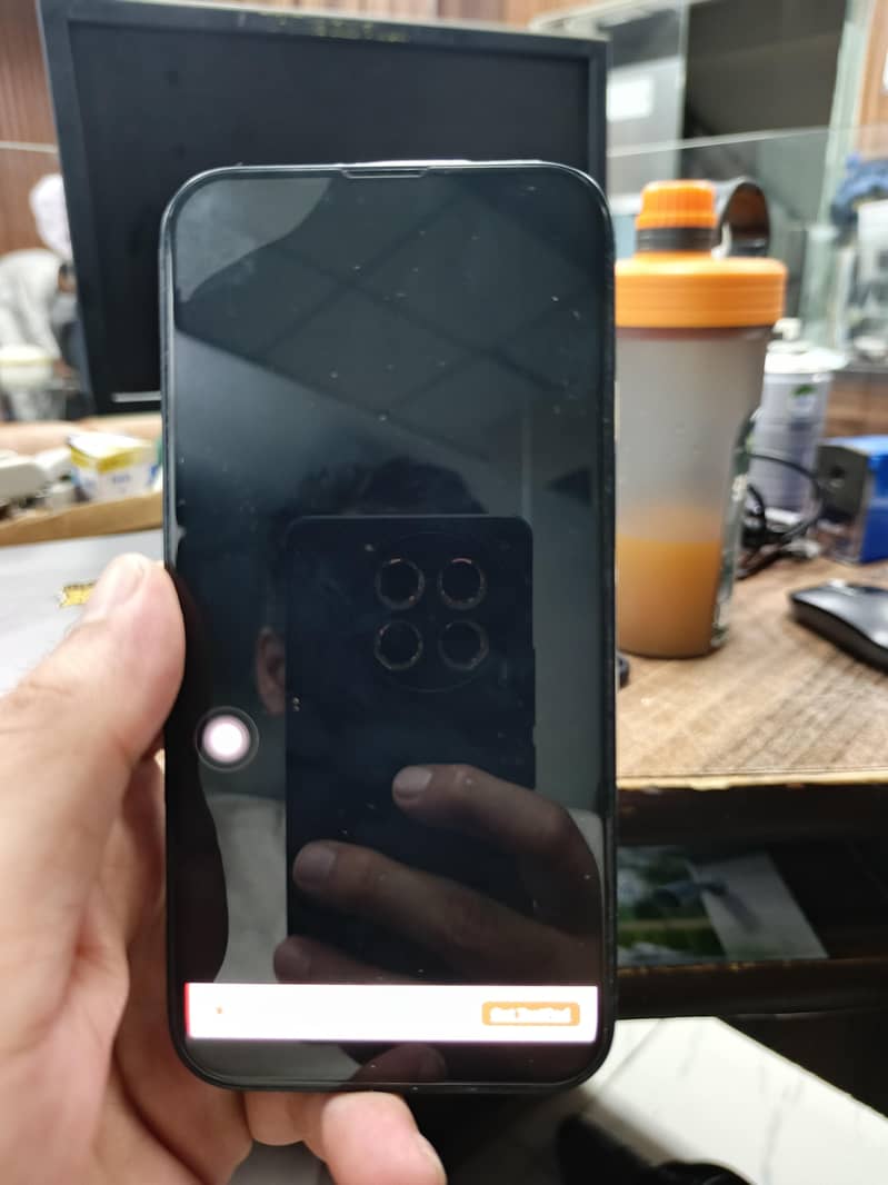 Apple iPhone 13 12