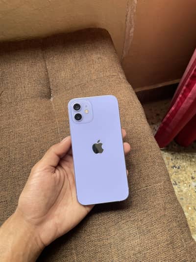 iPhone 12 256gb pta approved