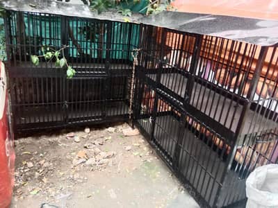 Iron cage for birds