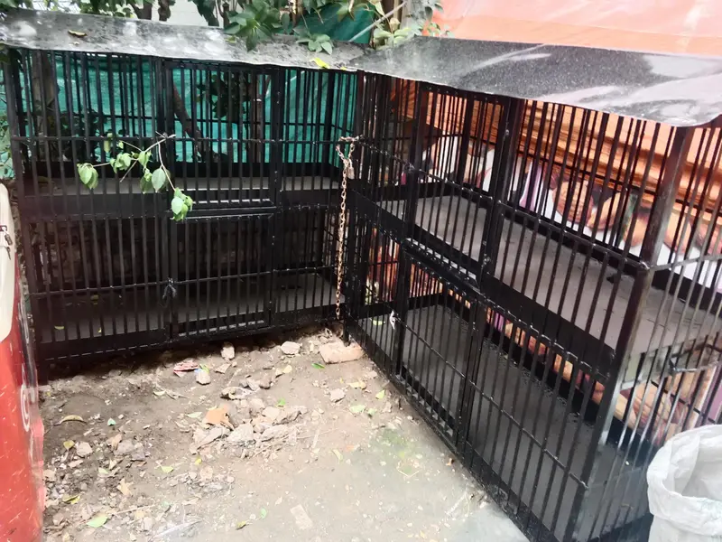 Iron cage for birds — photo 3