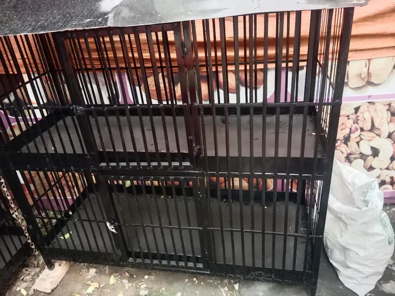 Iron cage for birds — photo 5