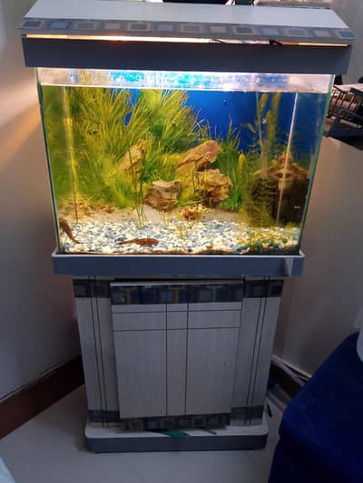 Whole Aquarium Setup