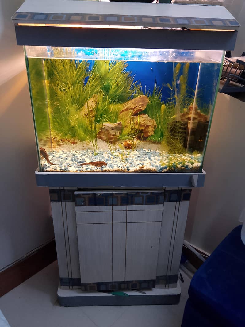 Whole Aquarium Setup 0