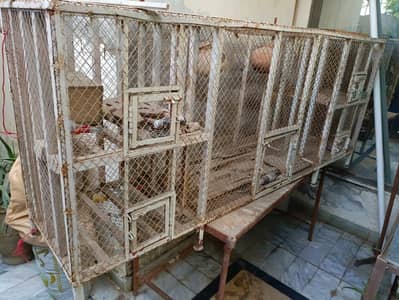 Big Size Bird Cage (Total Iron Made)