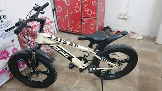 bicycles for boys