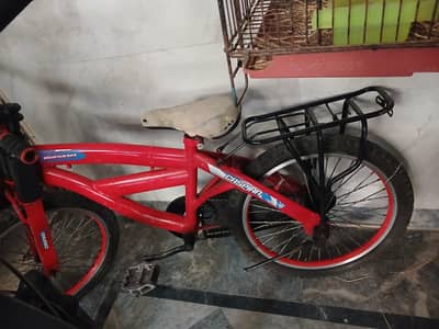 children cycle 8 to 12 years of child