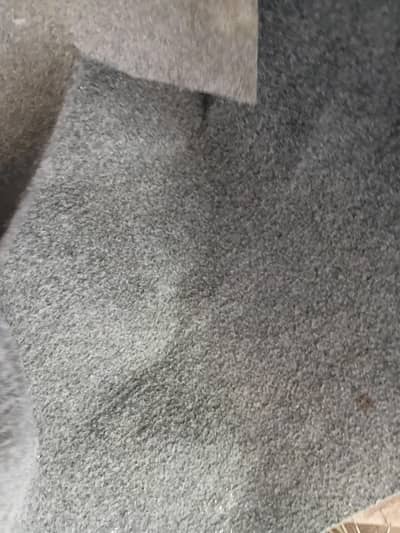 3 Carpets For Sale
