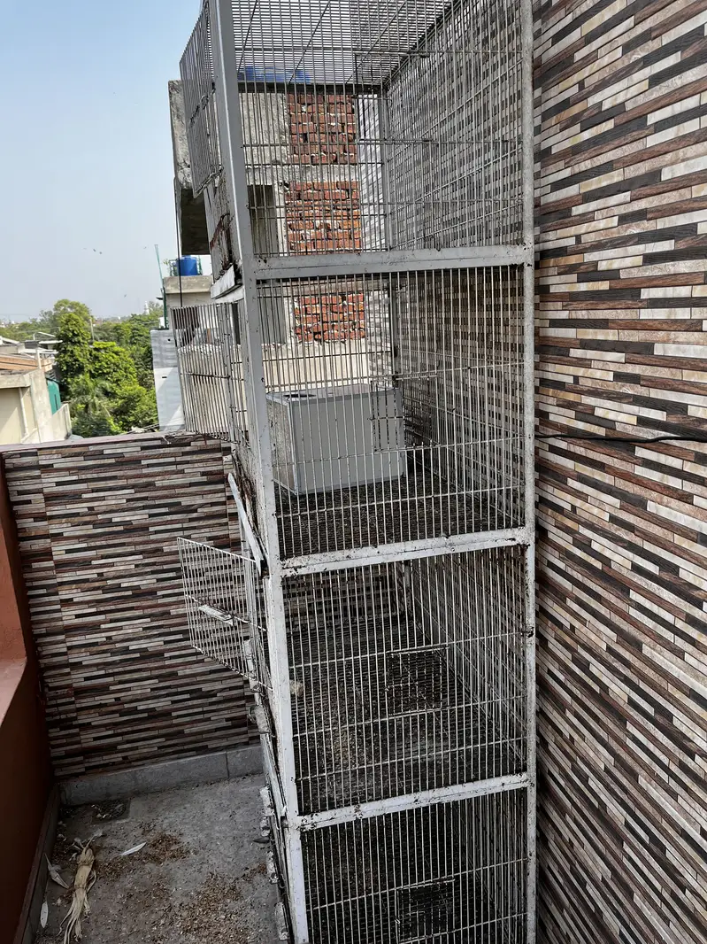 4 portion double angle cage watsap 03234736772 — photo 2