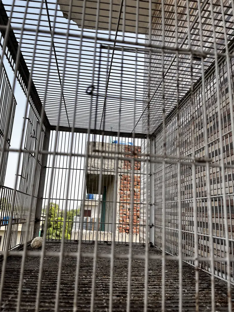 4 portion double angle cage watsap 03234736772 — photo 4