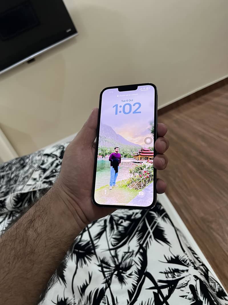 Apple iPhone 13 Pro Max 3