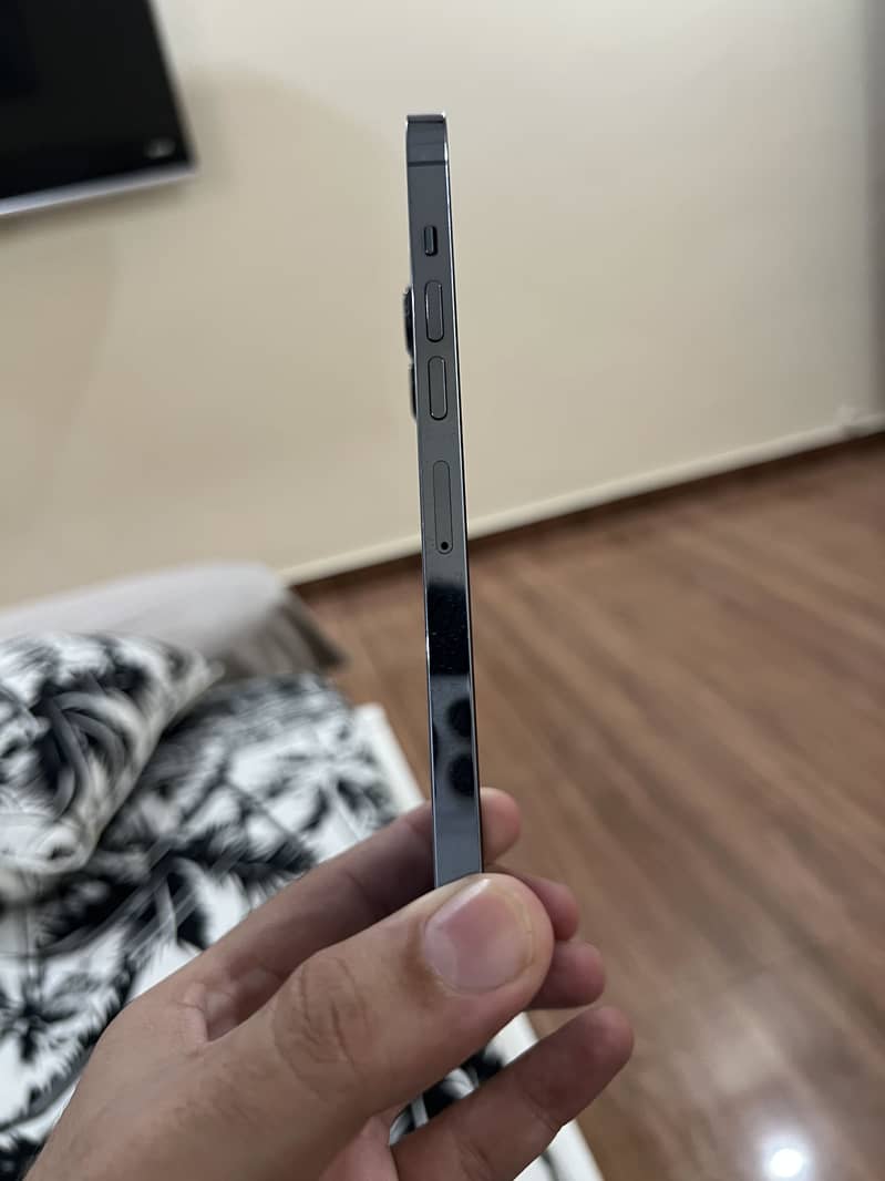 Apple iPhone 13 Pro Max 4