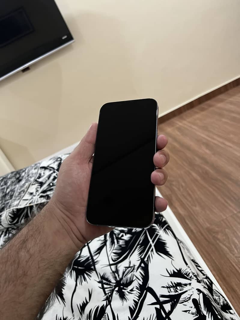 Apple iPhone 13 Pro Max 6