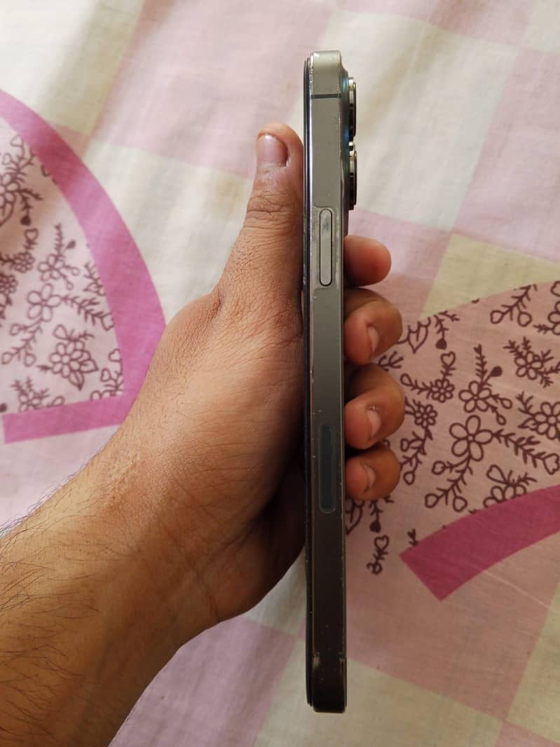 Apple iPhone 13 Pro Max 1