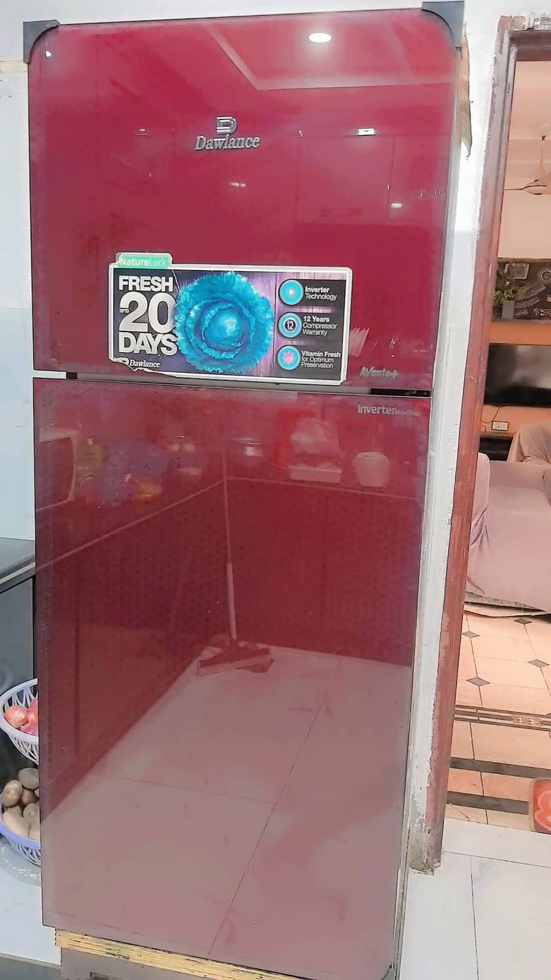 frige 0