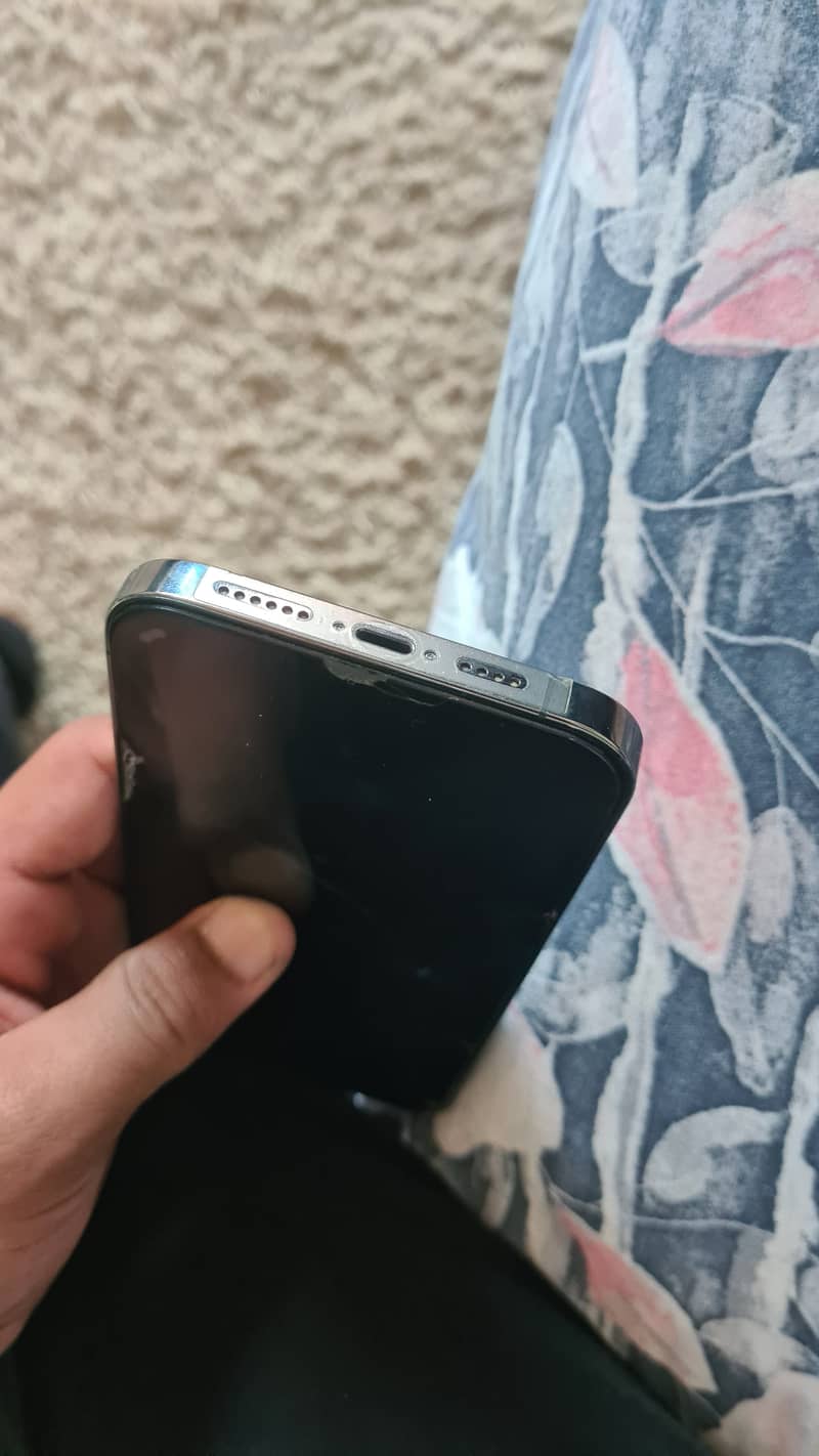 Apple iPhone 13 Pro Max 1