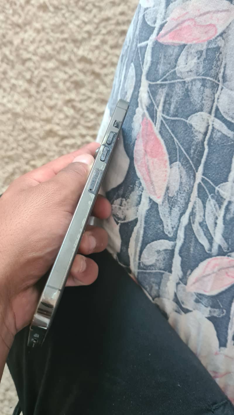 Apple iPhone 13 Pro Max 2