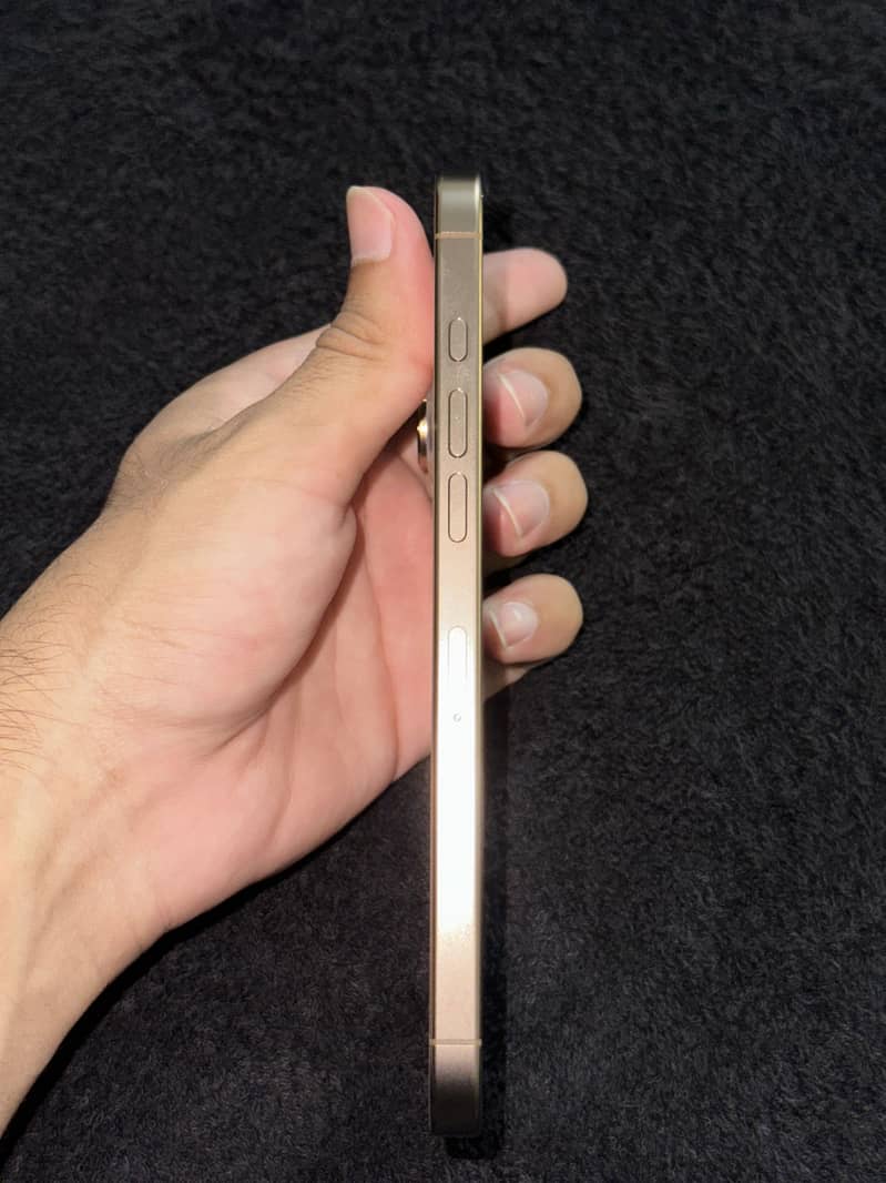Apple iPhone 16 Pro Max 2