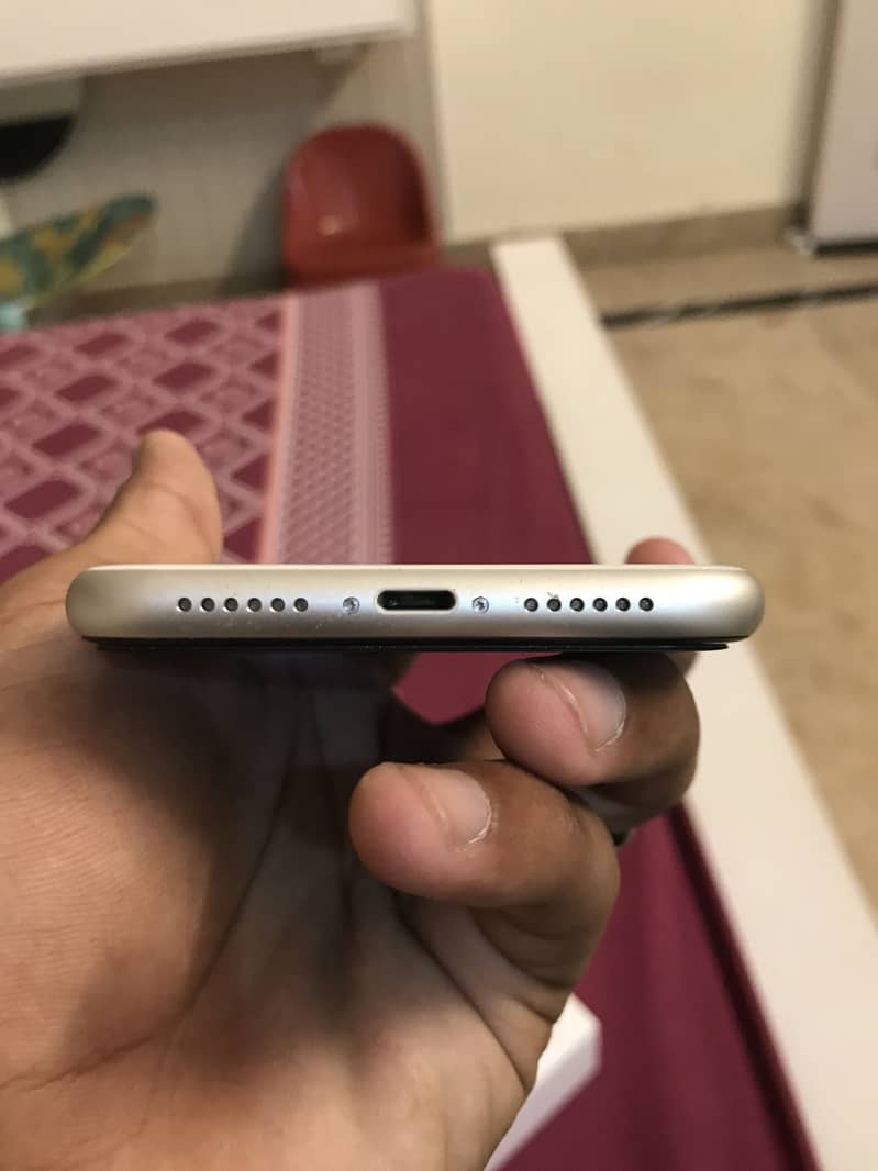 Apple iPhone 11 3