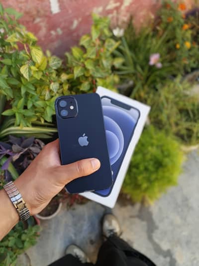 Iphone 12 with full box nd free airpods