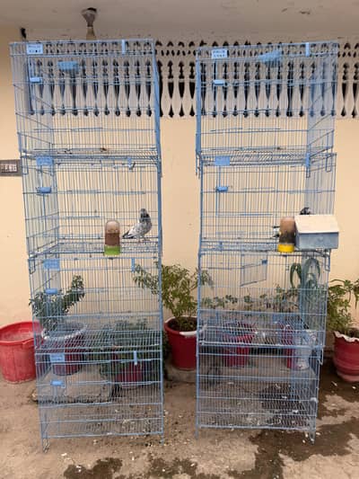 Folding cages