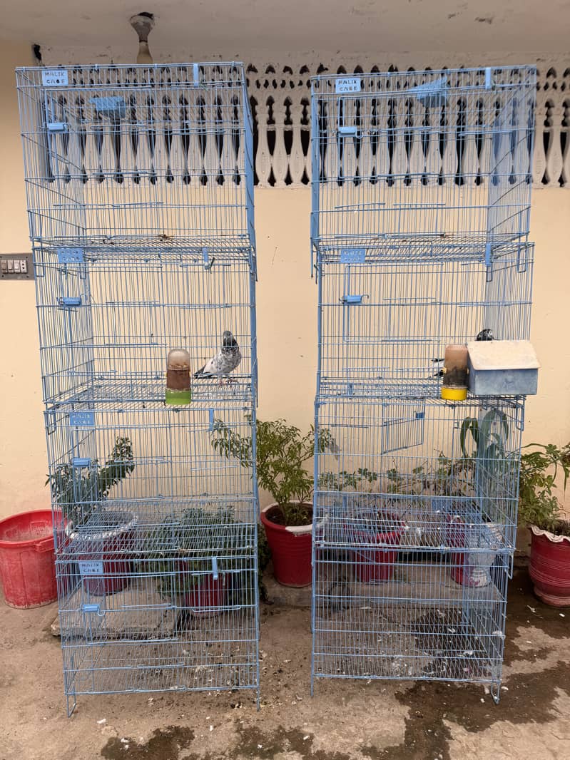 Folding cages 0