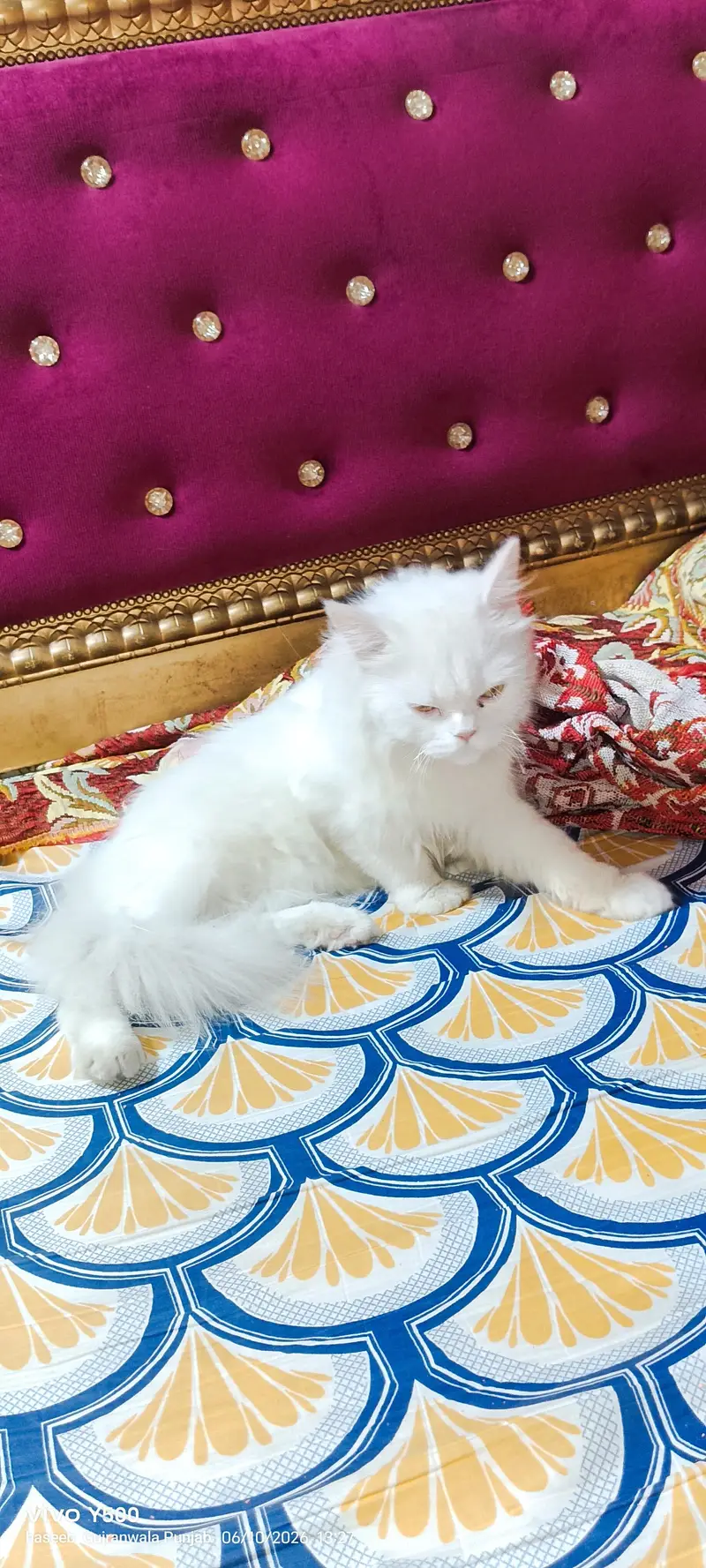 ret mein karta hai — photo 2