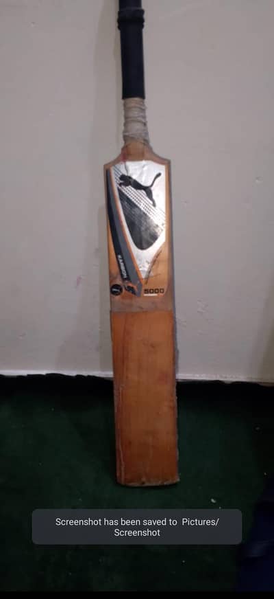 hard ball cricket bat for sell