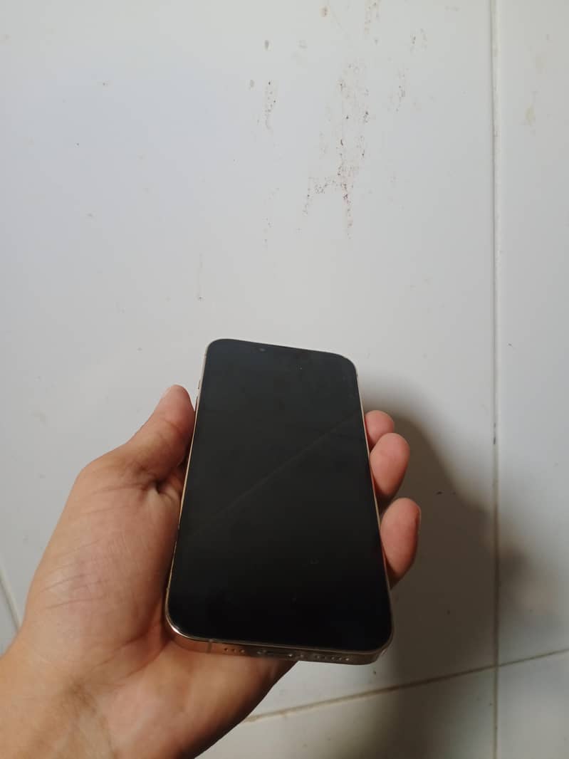 Apple iPhone 13 6