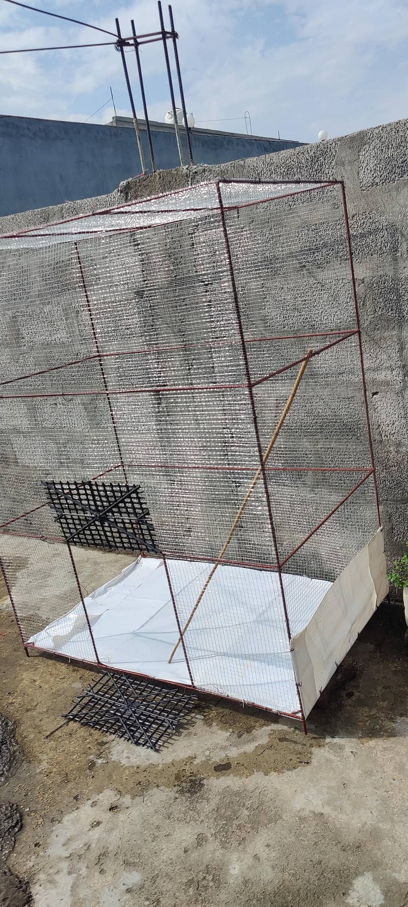pigeons cage 0