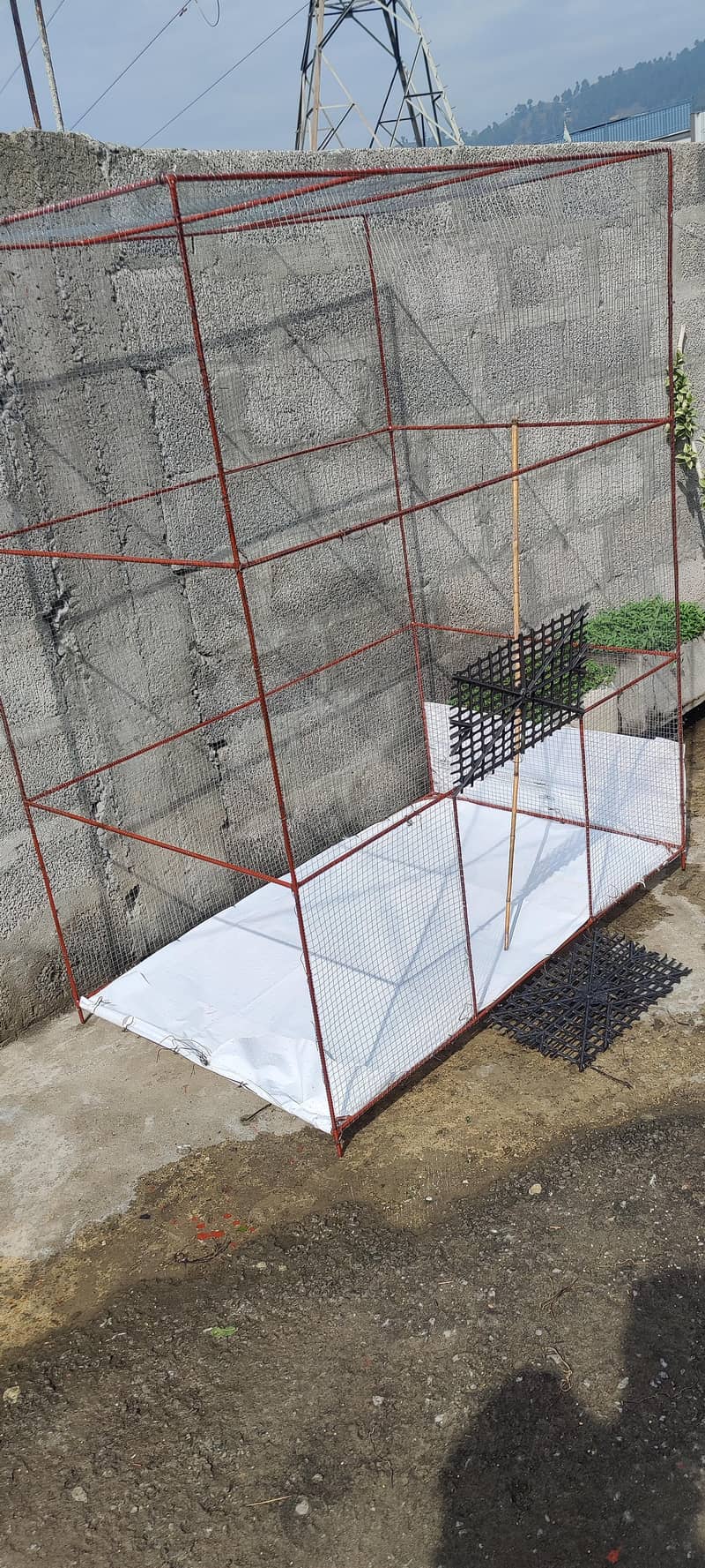 pigeons cage 1