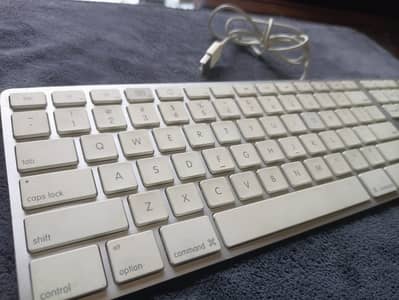 Apple A1243 Wired USB Keyboard | Numeric Keypad | White | Imported