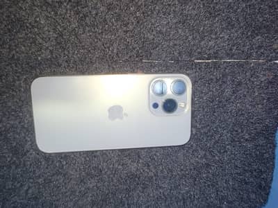 Apple iPhone 13 Pro